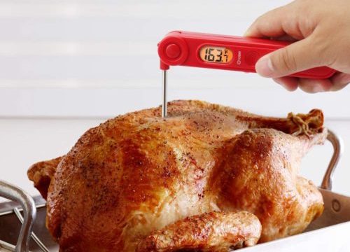 Meat Thermometer